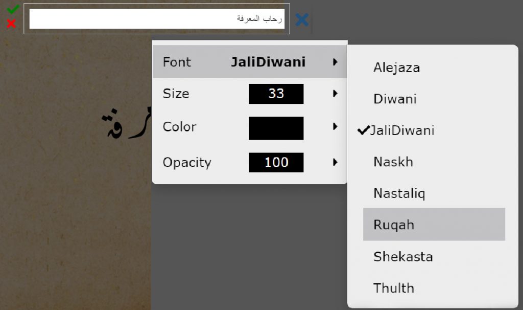 خيارات أداة النص