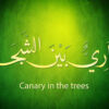 canary-in-the-trees